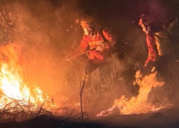 Bombeiros controlam incêndio que atingiu dois hectares de vegetação em Cruzeiro do Sul