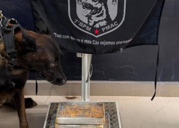 Cão farejador da PM intercepta encomenda com mais de 4 kg de drogas e apreende menor em transportadora