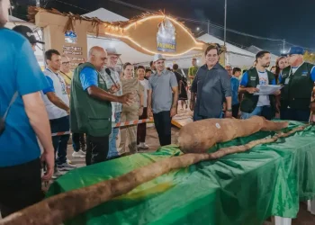 Concurso revela mandioca de quase 32 kg e outra com 3,5 metros no Festival da Farinha