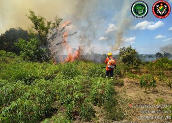 Bombeiros combatem incêndio por seis horas e evitam que chamas atinjam casas e plantações no Acre