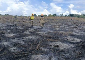 Imac identifica 28 pontos com indícios de crime ambiental no Vale do Juruá