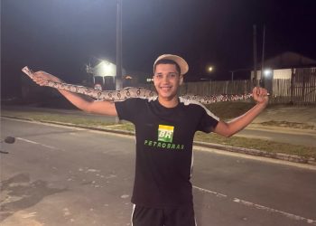 Morador captura jiboia de quase dois metros que atravessava rua em Mâncio Lima