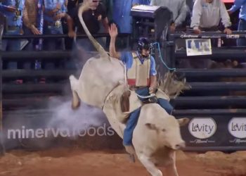 Campeão em Cruzeiro do Sul, peão do Amazonas disputa final da Liga Nacional de Rodeio em Barretos
