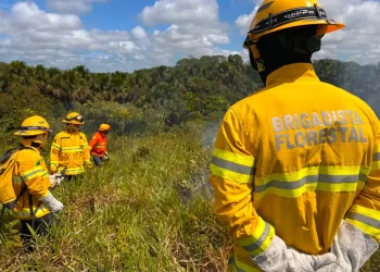 Cruzeiro do Sul capacita servidores para atuar no combate a incêndios durante período de estiagem