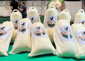 Festival do Coco destaca a força da produção de farinha no interior do Acre