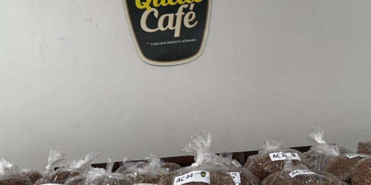 Especialista vê potencial para café do Acre conquistar novos mercados