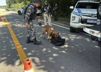 PM e PRF reforçam fiscalização na BR-364 contra o tráfico de drogas