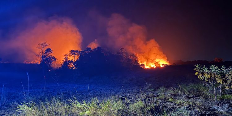 Bombeiros e brigadistas combatem incêndio em área de vegetação em Rodrigues Alves