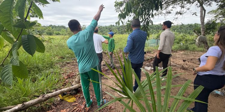 Sistema penitenciário de Cruzeiro do Sul prepara iniciativa que une trabalho, sustentabilidade e ressocialização